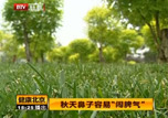 秋天鼻子容易_闹脾气